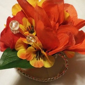 Meet your Posher, Precita